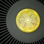 Cardano Wallets vs Exchanges: Where Should You Keep ADA?