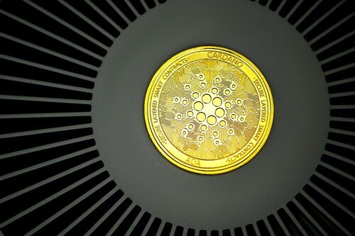 Cardano Wallets vs Exchanges: Where Should You Keep ADA?